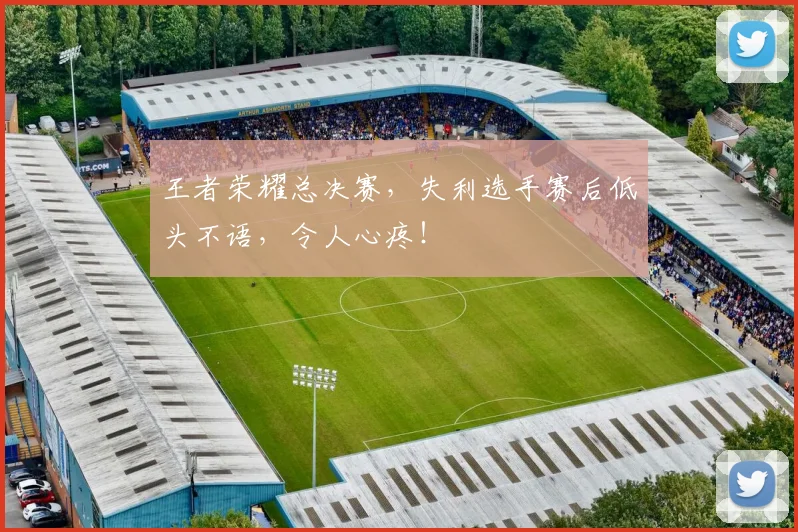 王者荣耀总决赛，失利选手赛后低头不语，令人心疼！