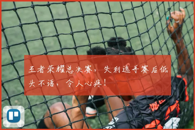 王者荣耀总决赛，失利选手赛后低头不语，令人心疼！